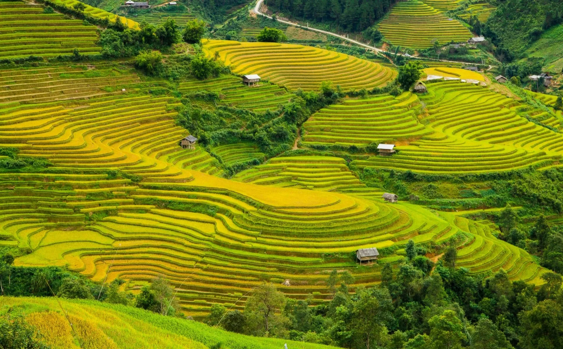 The 10 best things you can do in Vietnam