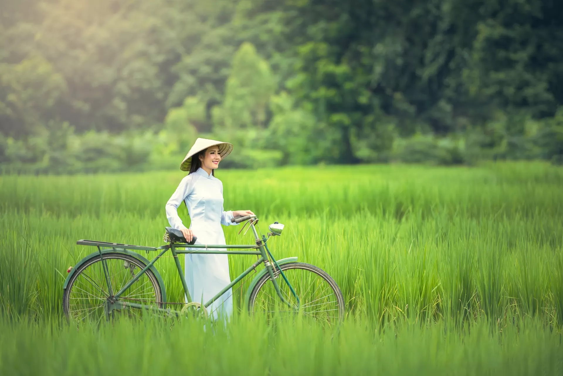 Glimpse Of Vietnam – 8 Days / 7 Nights