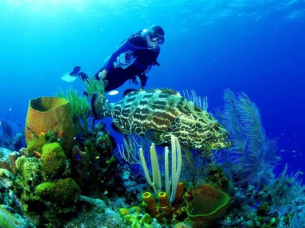 A great experience of Vietnam 11 days/ 10 nights
