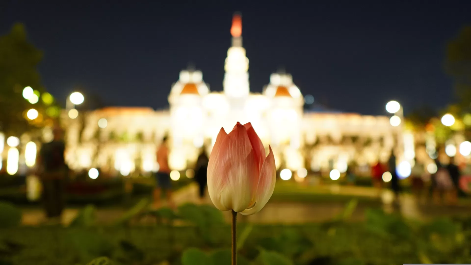 3 Days In Saigon