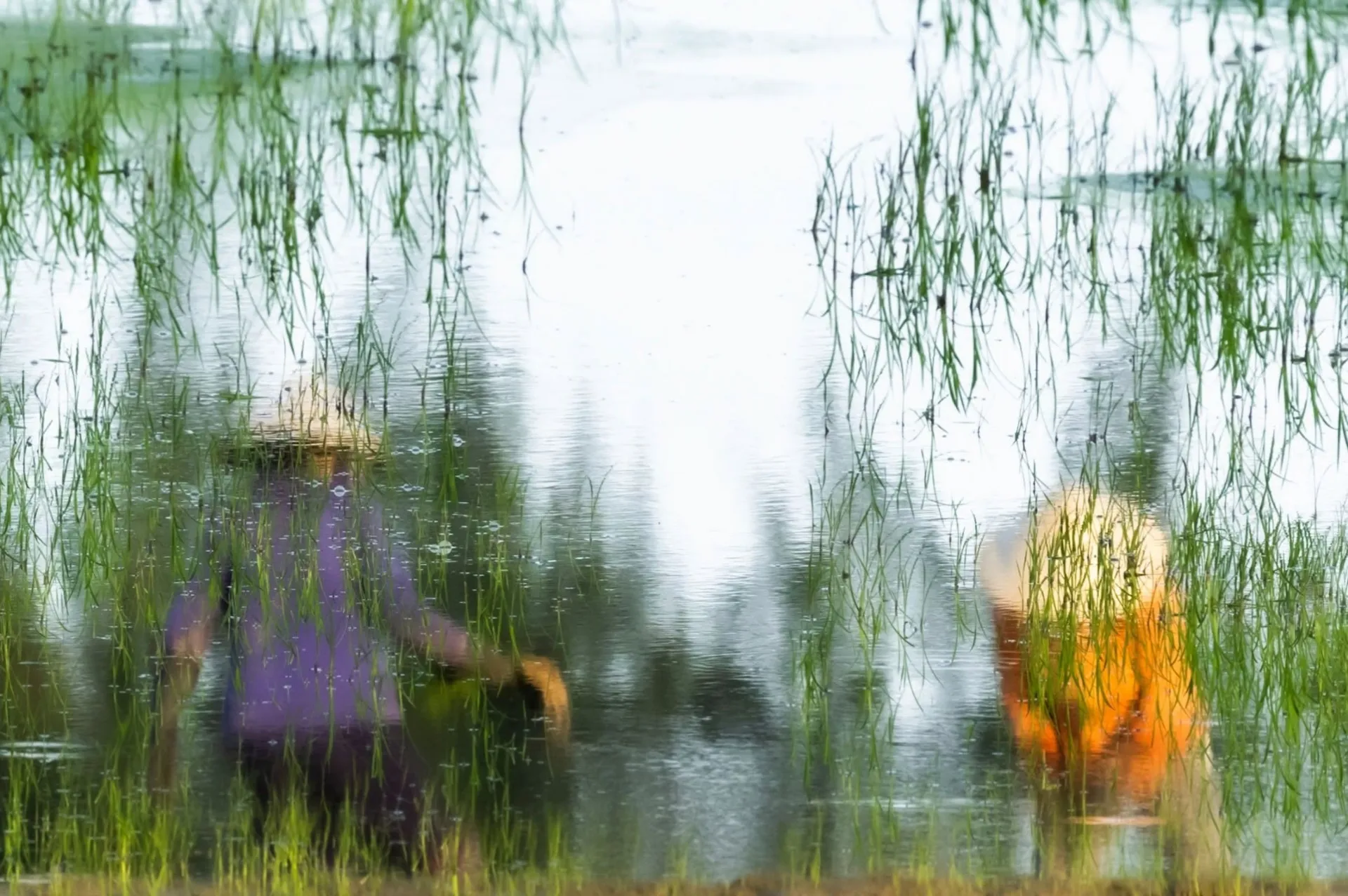 The 10 best things you can do in Vietnam