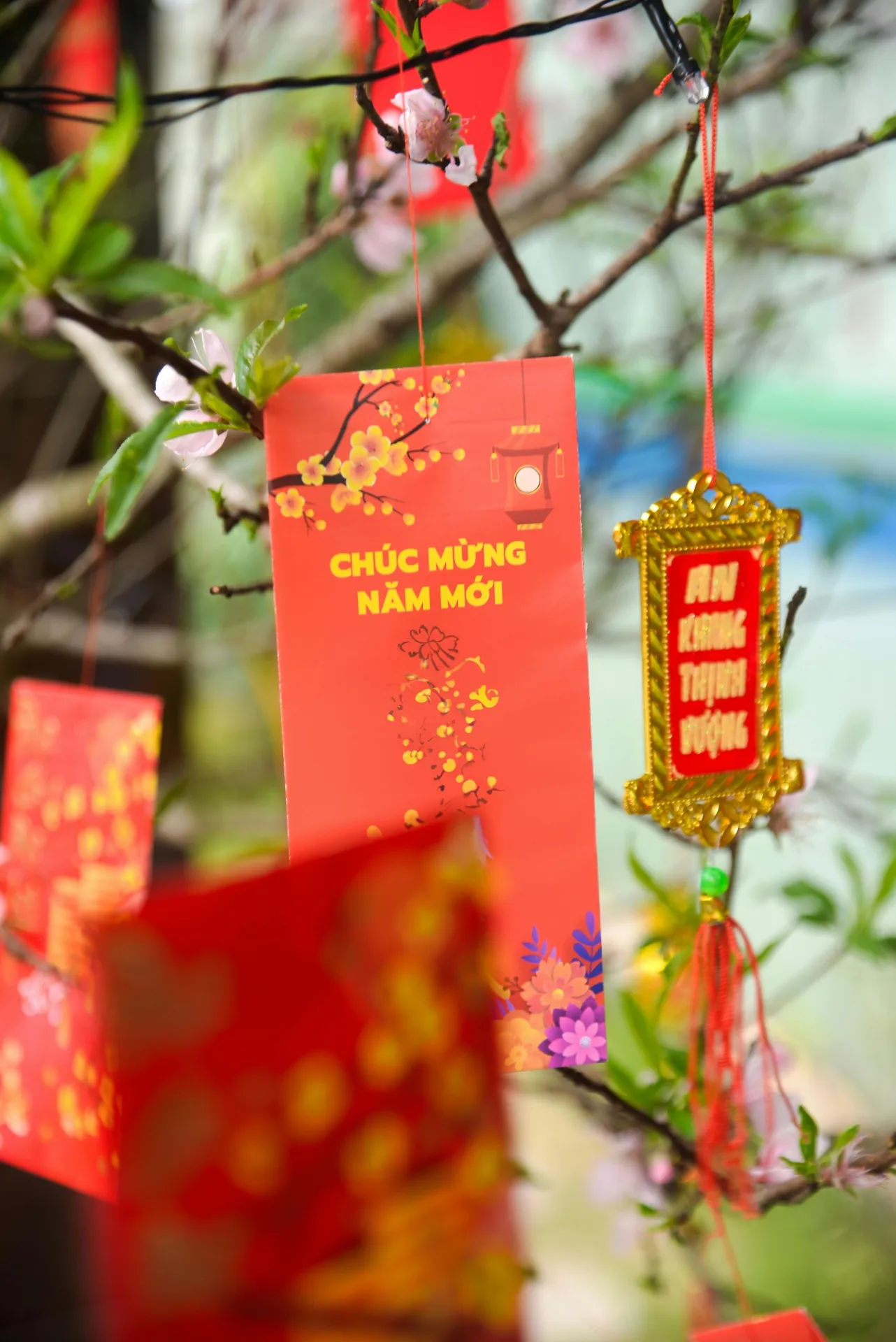 HAPPY LUNAR NEW YEAR OF HORSE