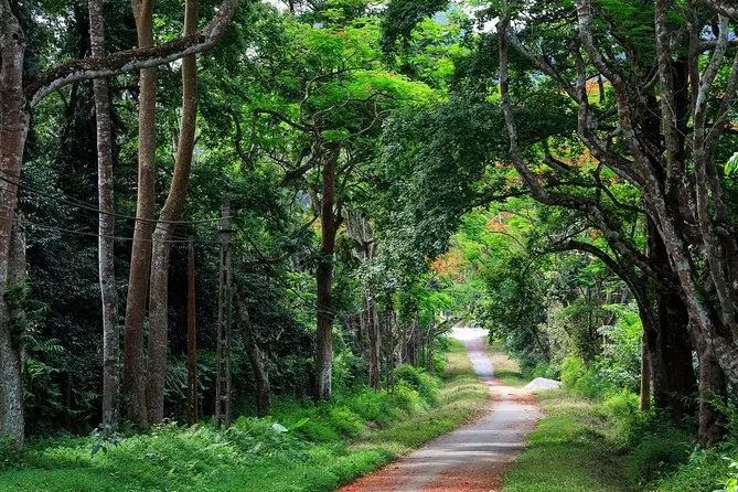 North Vienam: Cuc Phuong National Park