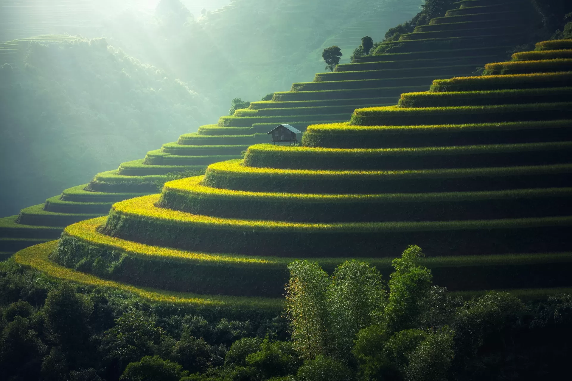 HaGiang : P’apiu … just love