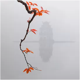 ½ & 1 DAY TOUR HANOI